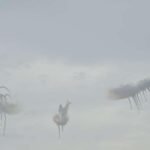 IMG-20230427-WA0041