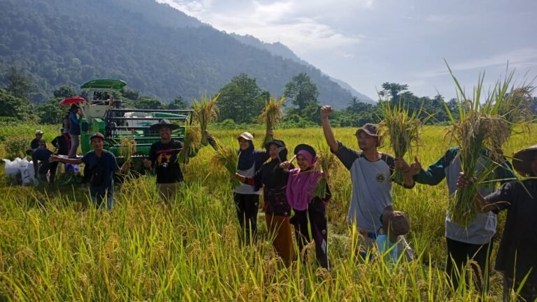Lakukan Pembinaan Terhadap Petani Lingkar Tambang, PT. Vale Panen Perdana