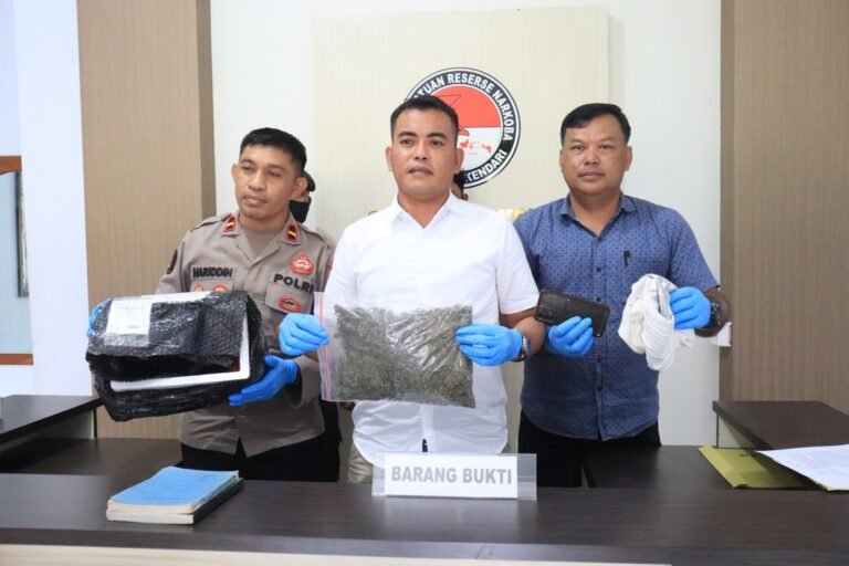 Polisi Amankan Seorang Pemuda di Kendari Kedapatan Bawa Ganja 316 Gram, Terancam Hukuman 12 Tahun Penjara