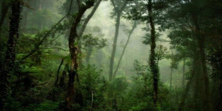 Hendak Pergi Kebun, Pria di Konawe Utara Dikabarkan Hilang