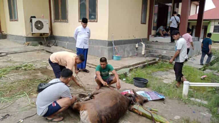 Idul Adha 1444 H, BPVP Kendari Salurkan 2 Ekor Sapi Kurban