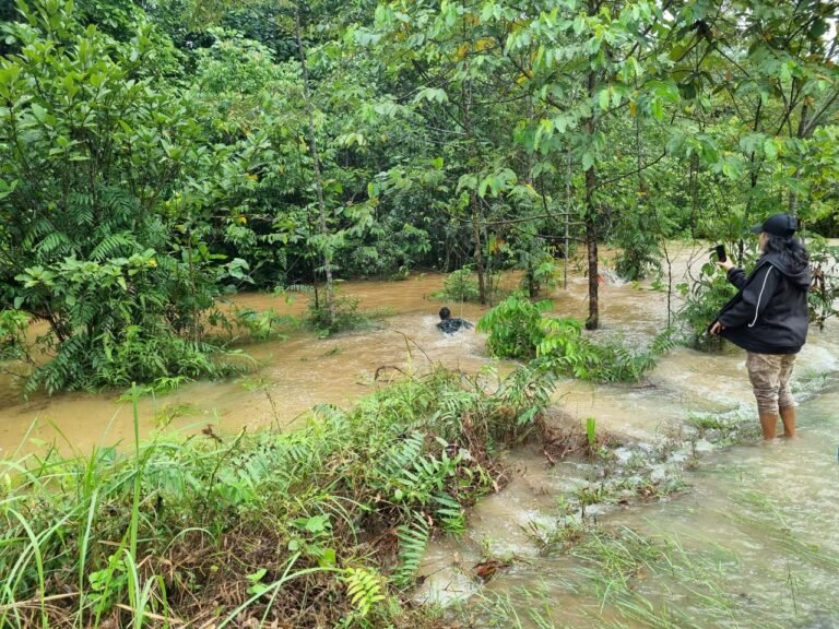 Ketika Rakyat Lebih Utama Dibanding Nyawa, Detik-detik Satgas Yonif 725 Woroagi Selamatkan Pelajar Terbawa Arus Banjir