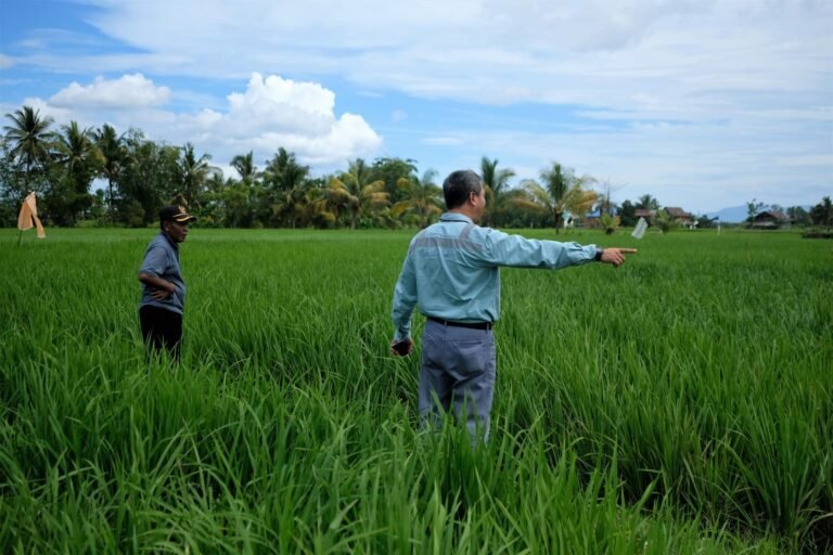 Berdayakan Masyarakat Lingkar Tambang,  PT Vale Indonesia Wujudkan Kemandirian Lewat Pertanian Ramah Lingkungan