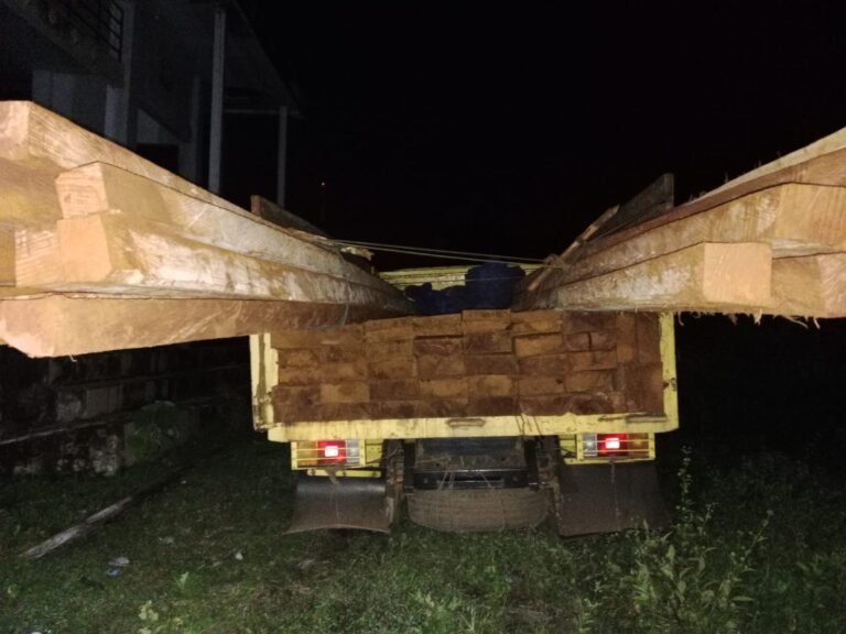 Diduga Tak Kantongi Dokumen, Dishut Sultra Amankan 14 Kubik Kayu Rimba