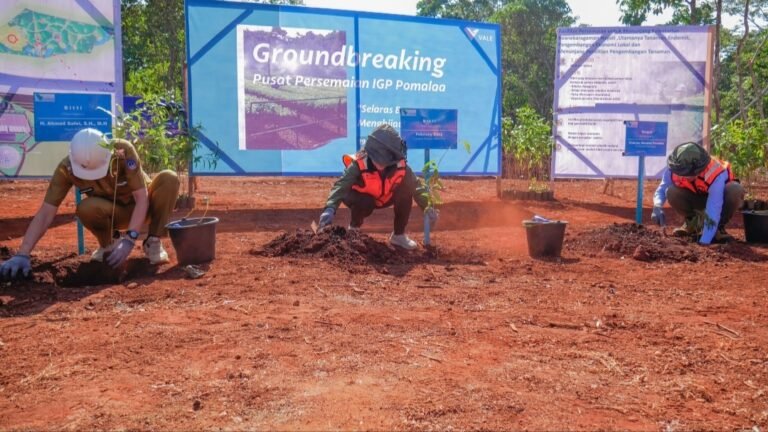 Bukti Komitmen Keberlanjutan pada Lingkungan, PT Vale Bangun  Nursery di Pomalaa