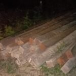 IMG-20231107-WA0132