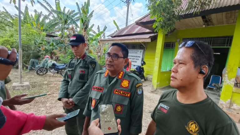 Sidak ke Kawasan Hutan Nanga-nanga, Dishut Sultra Temukan Puluhan Batang Jenis Kayu Rimba Olahan Tak Bertuan