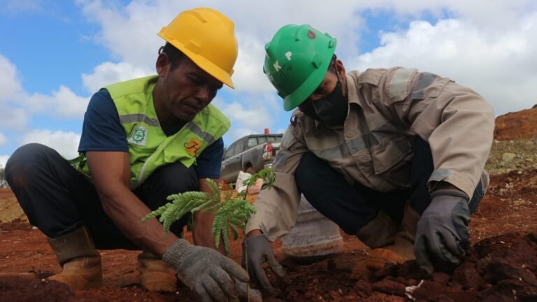 Upaya Reklamasi dan Penghijauan PT GKP di Wawonii
