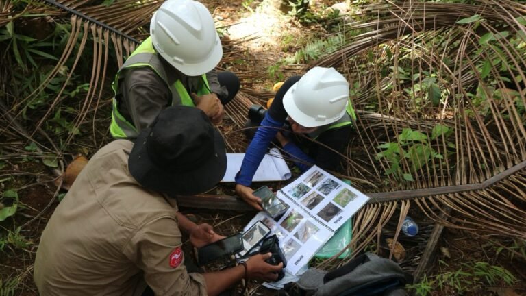 Biodiversitas dan Ekologi Pulau Wawonii Terjaga, Sektor Swasta Ambil Peran Penting