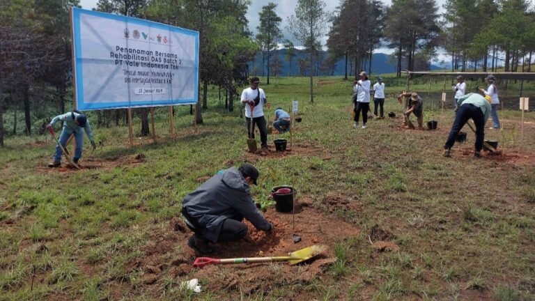 Komitmen Terapkan Kaidah Penambangan yang Baik, PT Vale Rehabilitasi DAS Tanam 424 Ribu Bibit Pohon