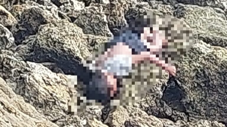 Bocah Laki-laki di Muna Ditemukan Tak Bernyawa di Pesisir Pantai