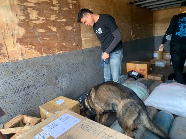 Enam Anjing K9 Bantu Lacak Peredaran Narkoba di Pelabuhan Bakauheni