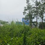 IMG-20240319-WA0110