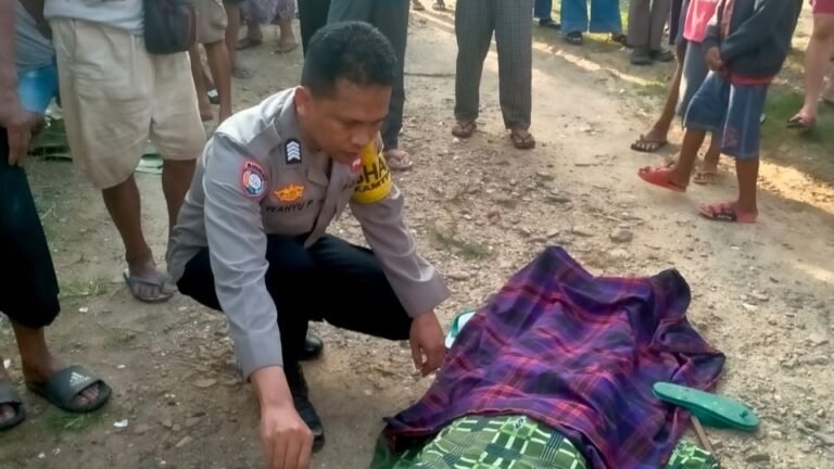 Pria Asal Raha Meninggal Dunia Usai Kecelakaan Kerja saat Pengecatan Papan Reklame Indomaret Wolasi