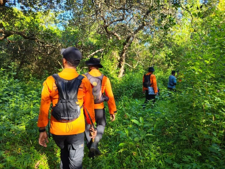 Hari Ketujuh Pencarian Orang Hilang di Busowa Busel Tak Buahkan Hasil, Operasi SAR Resmi Ditutup
