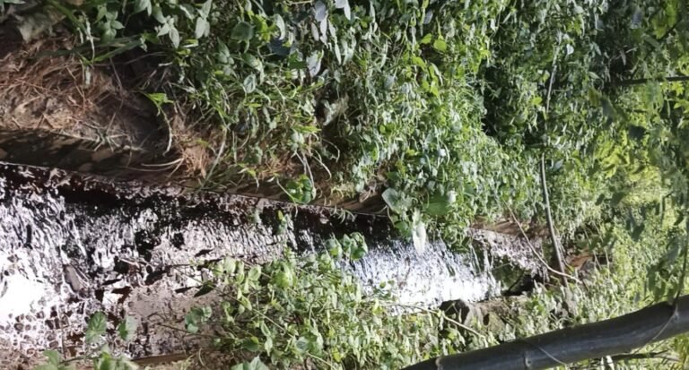 Limbah Lindi TPA Puwatu Cemari Kali Wuawua, Warga Resah