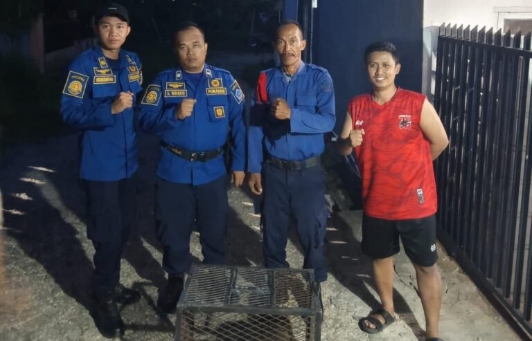 Damkar Kendari Evakuasi Kuskus di Permukiman Wua Wua