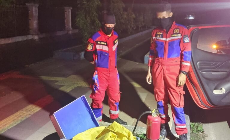 Damkar Kendari Evakuasi Sarang Tawon di Kantor BPOM