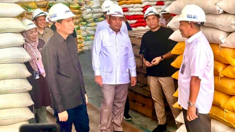 Bahtra Banong Sidak Bulog Sultra, Stok Pangan Sangat Aman