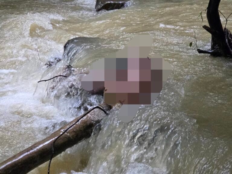 Mayat Pria Ditemukan Tersangkut di Sungai Lasolo Kendari