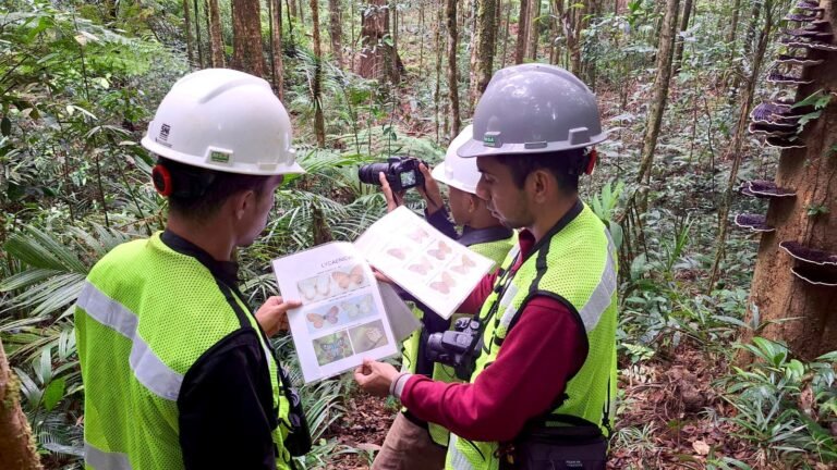 Riset Biodiversitas PT GKP Temukan Spesies Baru di Pulau Wawonii