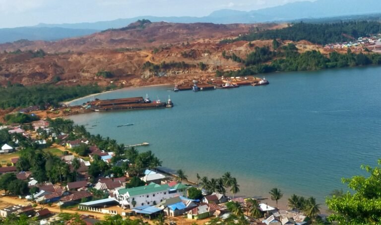 OPINI: Menanti ‘Net Sink’ dari Sulawesi Tenggara, Antara Data dan Realita