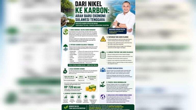 OPINI: Dari Nikel ke Karbon, Arah Baru Ekonomi Sulawesi Tenggara