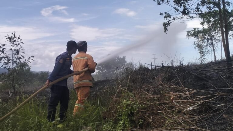 Damkar Kendari Padamkan Kebakaran Lahan di BTN Boulevard Regency