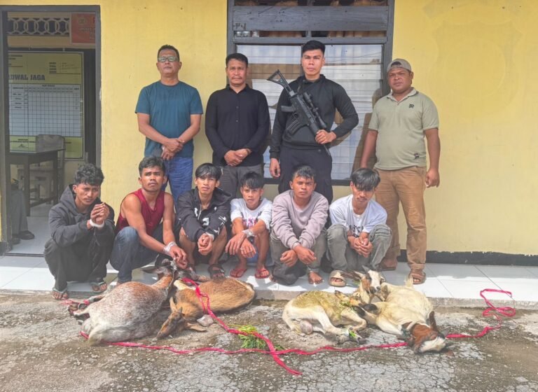 Polsek Mawasangka Ringkus Enam Pencuri Empat Ekor Kambing