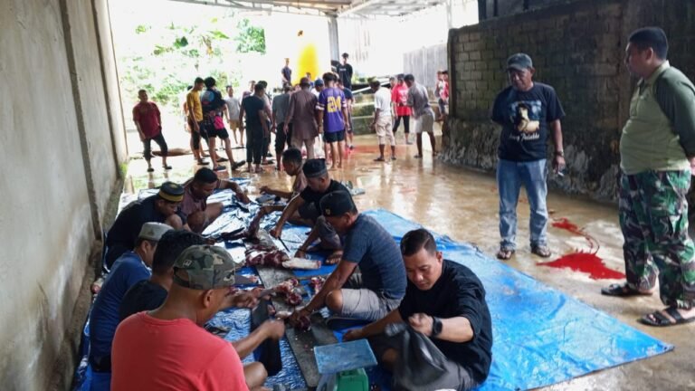 PT WIN Salurkan 13 Sapi Kurban untuk Warga Konawe Selatan