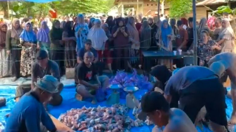 Bahtra Banong Kurban Sapi 1 Ton di Onembute Konawe