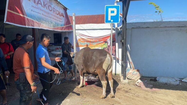 PT Toshida Indonesia Salurkan Tiga Sapi Kurban di Kolaka