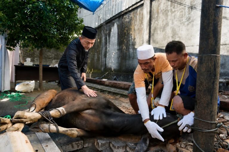 PLN UID Sulselrabar Bagikan 6 Ton Daging Kurban Idul Adha