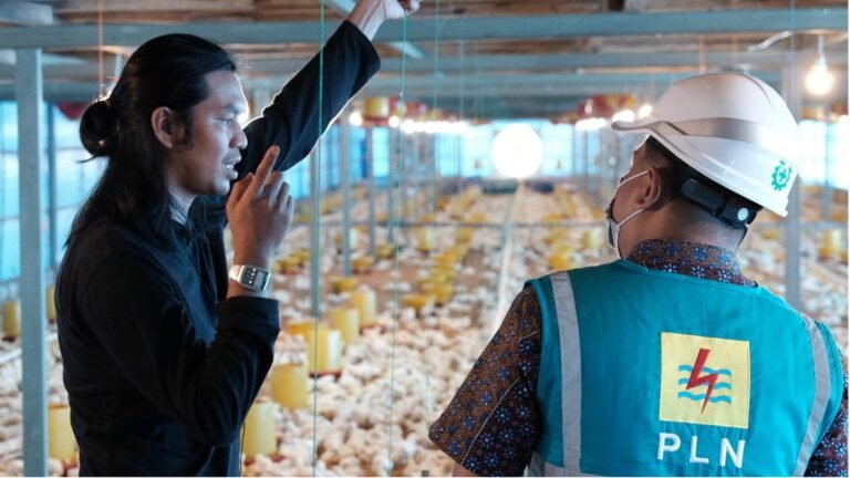 PLN Electrifying Agriculture Tekan Biaya Petani dan Peternak hingga 4 Kali