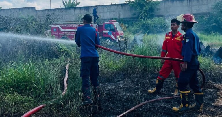 Puntung Rokok Picu Kebakaran Lahan di Belakang Pasar THR Kendari