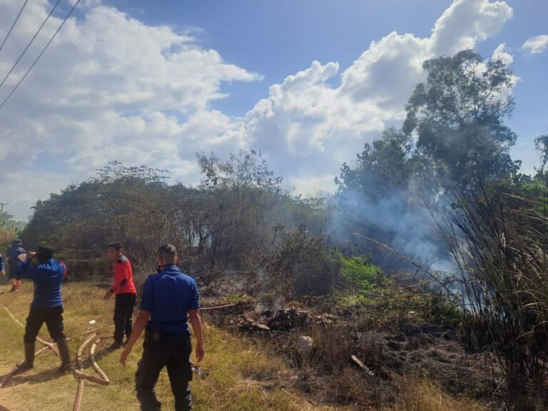 Kebakaran Lahan di Rahandouna Kendari Berhasil Dipadamkan Damkar